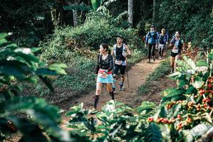 BIB: 
                            <button type="button" onclick="openModal(25849734)" class="btn btn-primary btn-sm float-right btn-popup" data-toggle="modal" data-target=".modal-high-quality">
                        <i class="fas fa-shopping-cart"></i> Add to Cart
                    </button>
                                            <button type="button" onclick="isThisMe(25849734, true)" class="btn btn-success btn-sm float-right btn-popup btn-isme hidden" data-toggle="tooltip" data-placement="bottom" title="นี่คือรูปของคุณใช่ไหม คลิกที่นี่เพื่อเอาเข้าอัลบั้ม">
                        <i class="fas fa-plus"></i> Add to album
                    </button>
                    <button type="button" onclick="isThisMe(25849734, false)" class="btn btn-warning btn-sm float-right btn-popup btn-isnotme hidden">
                        <i class="fas fa-ban"></i> Remove from album
                    </button>